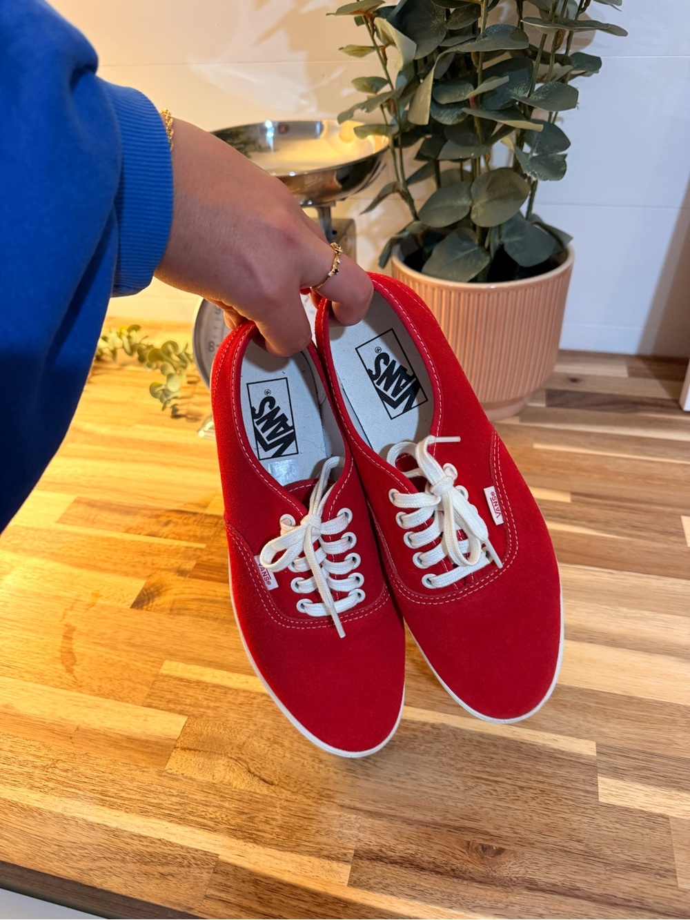 Vans Red Canvas Low-Top Sneakers with White Laces